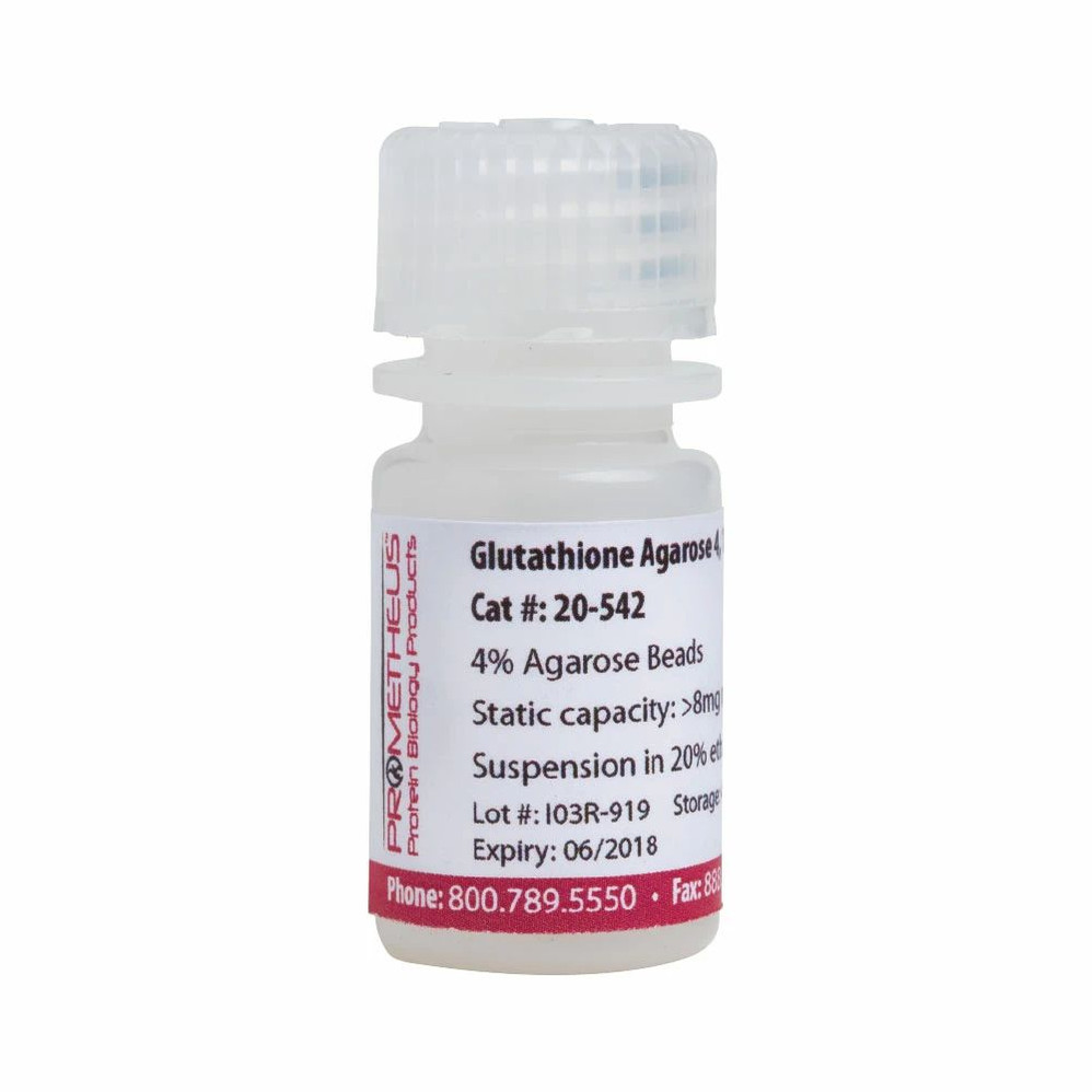 Glutathione Agarose 4B 4% Agarose Beads