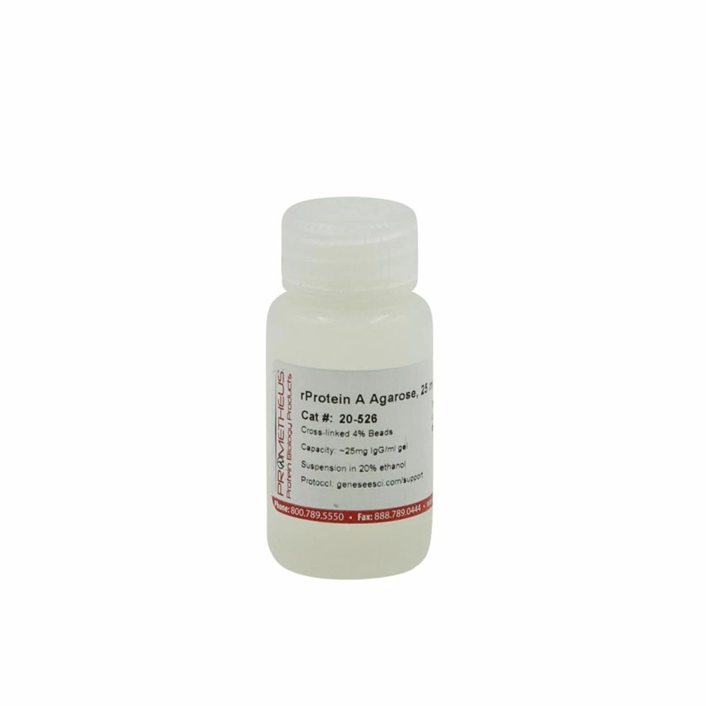 rProtein A Agarose CL-4B Cross-linked Beads, 4%