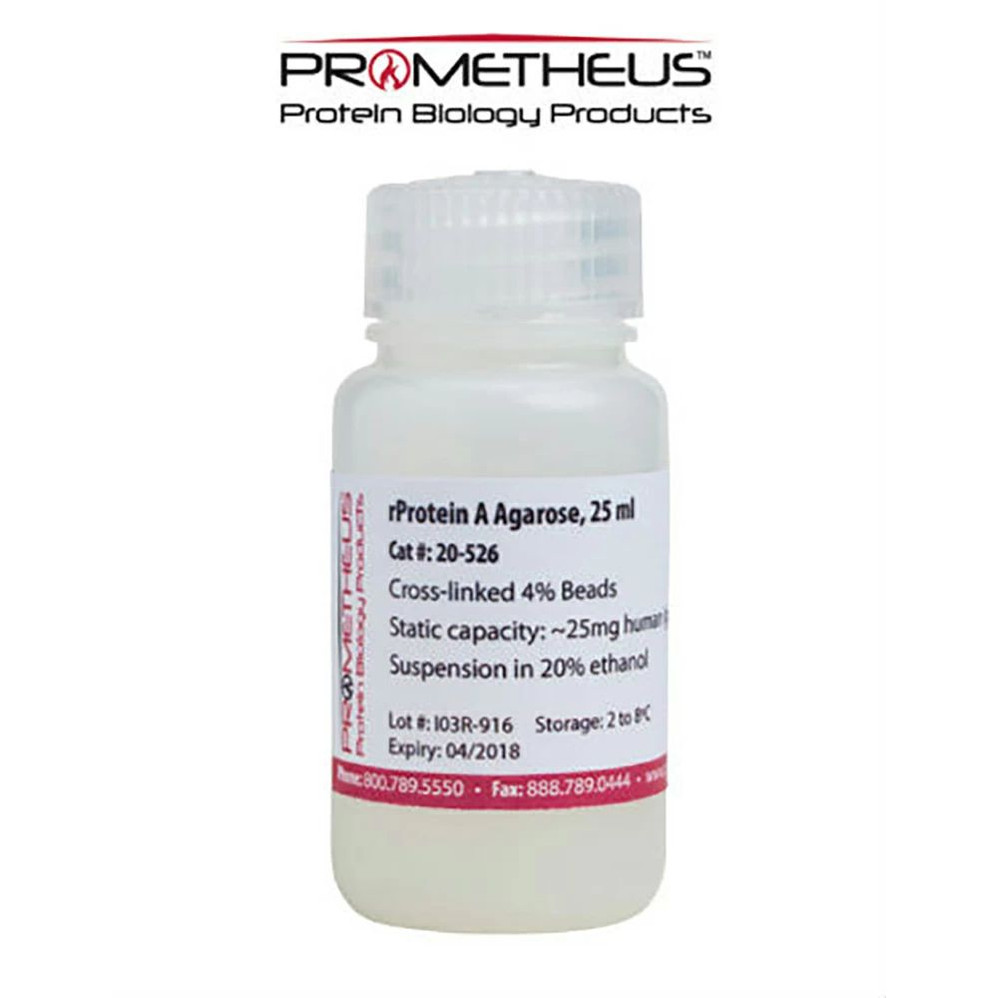 rProtein A Agarose CL-4B Cross-linked Beads, 4%