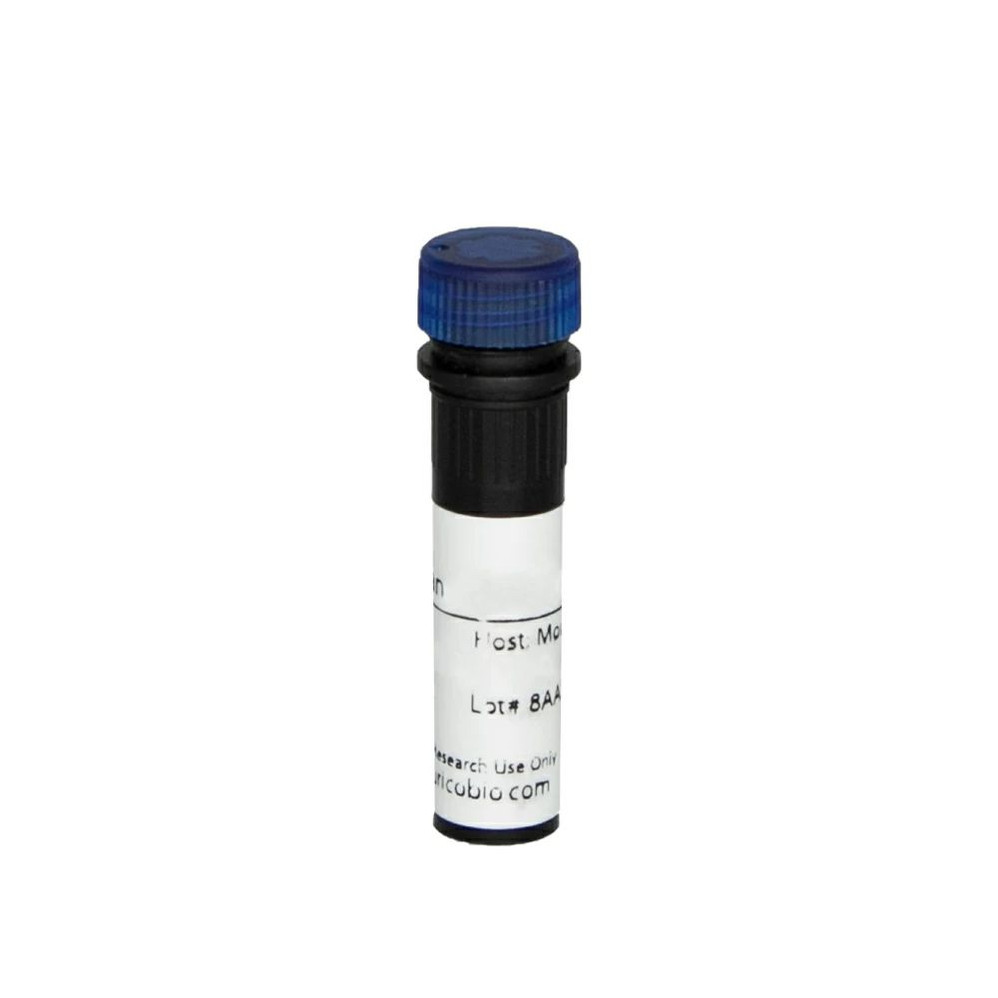 (55-816OC) CD16 PE-Cyanine7 Antibody Clone 3G8, Mouse IgG1, k 200 Tests/Unit