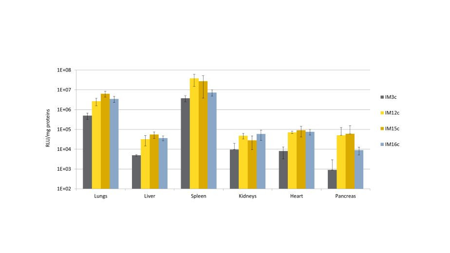LipidBrick® IM21.7c, Cationic Lipid for LNP Formulation