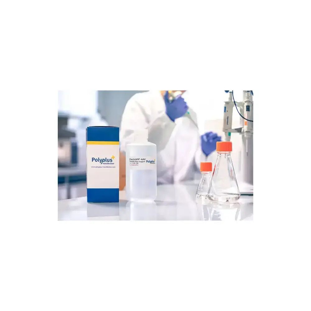 FectoVIR®-LV Transfection Reagent