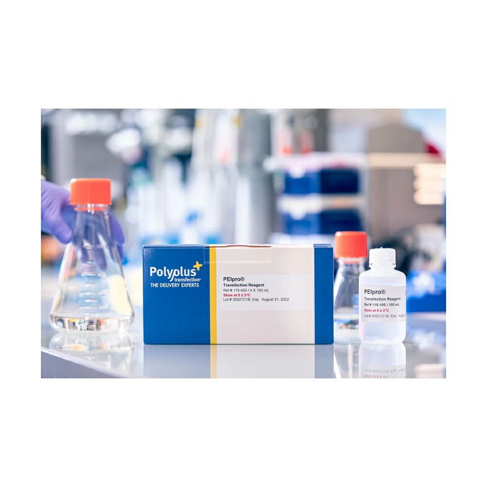PEIpro® DNA Transfection Reagent