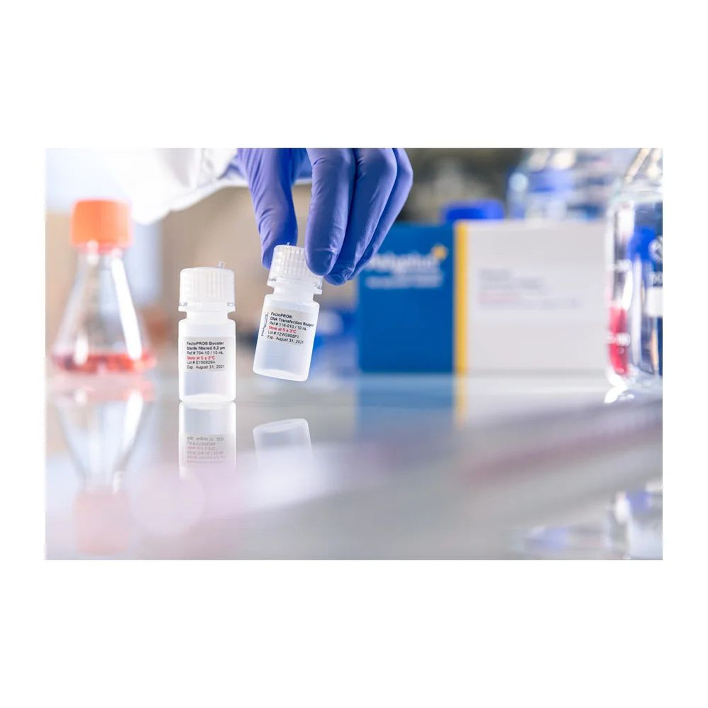 FectoPRO® DNA Transfection Reagent