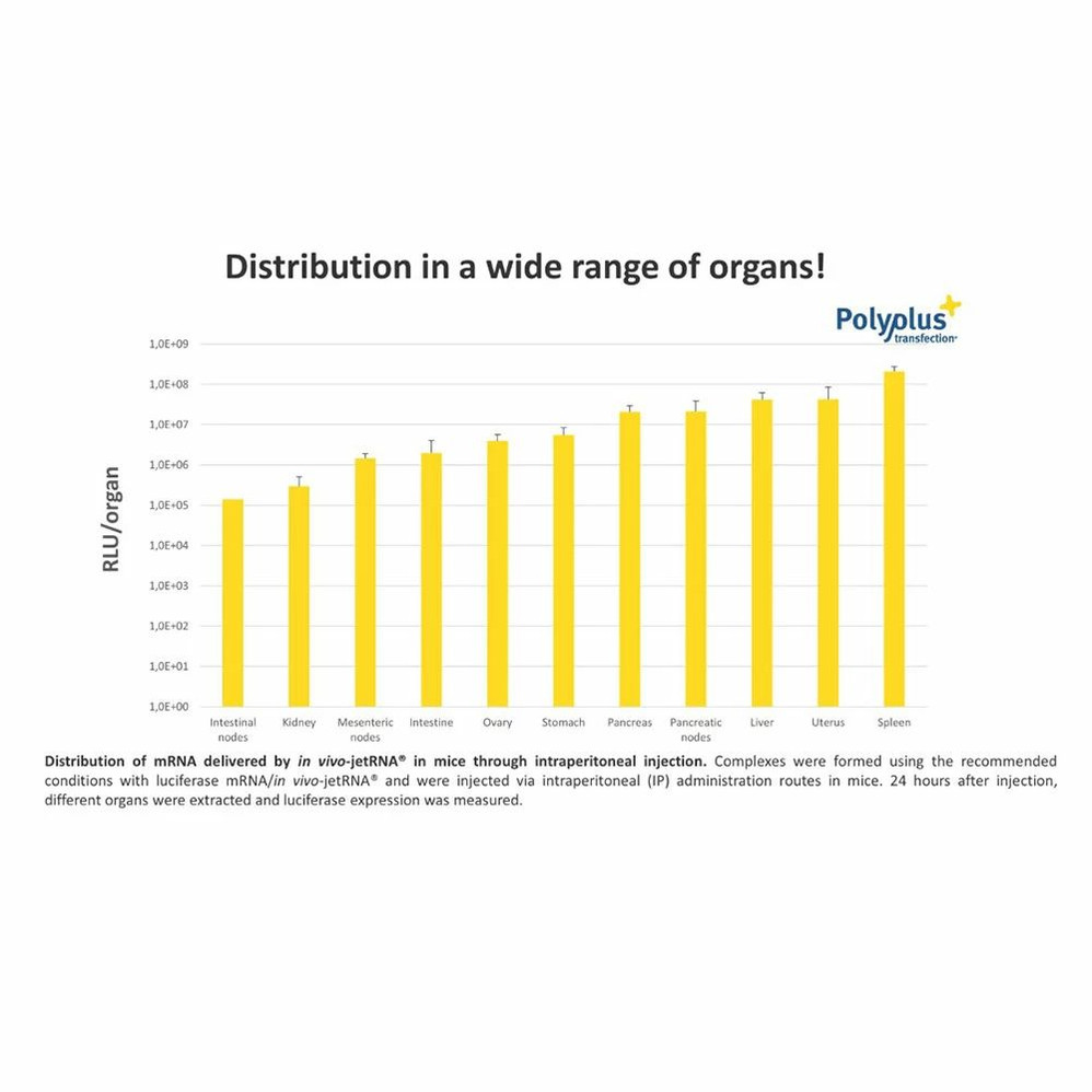 in vivo-jetRNA®+ Transfection Reagent