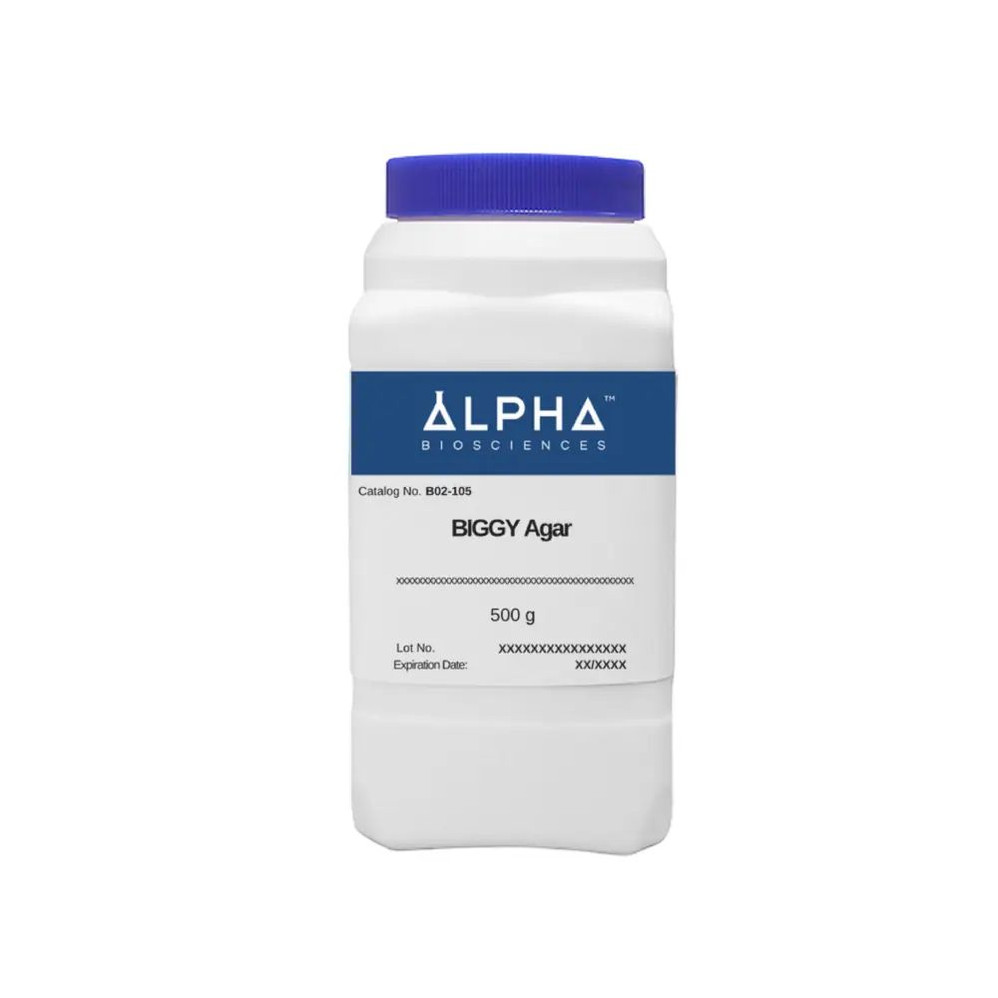 Biggy Agar