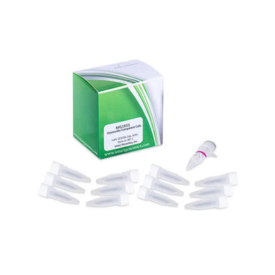 CNPBerry 0.5ml最高品質CBP CRDP CRDH331 CNPBerry 0.5ml最高品質CBP CRDP CRDH THXE01 C・BP 1.2ml