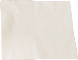 13"x12" White Spunlace Heavy Duty Spilfyter Wipers 500/cs image