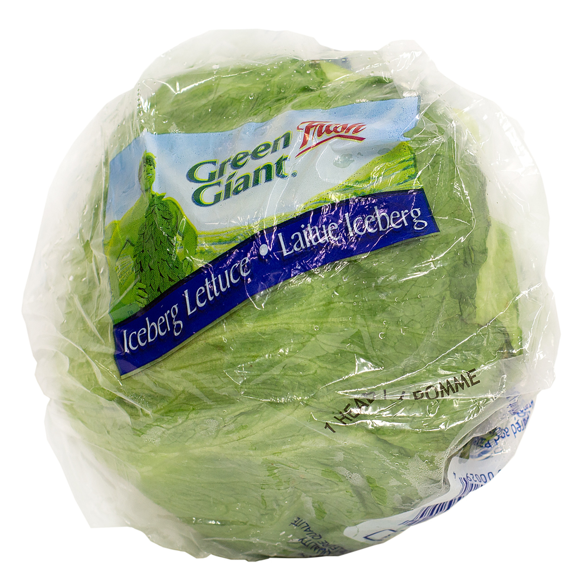 head iceberg lettuce