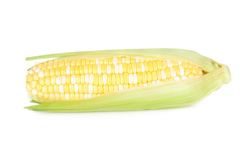 Bi Color Corn 6 Pack