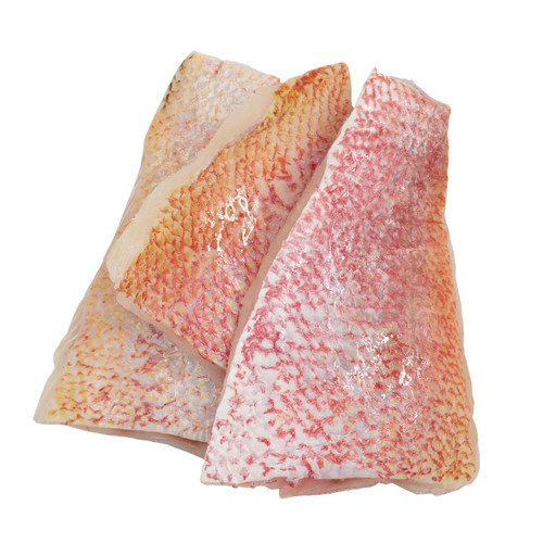 Fresh Frozen Snapper Fillets 1 Lb.