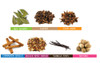 Jalpur Mulled Wine Spice Kit - 7 Ingredients for Making Mulled Wine
