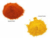 Jalpur Millers Spice Combo Pack - Paprika Powder 100g - Turmeric Powder 100g (2 Pack)