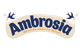 Ambrosia