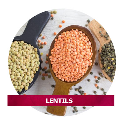 LENTILS