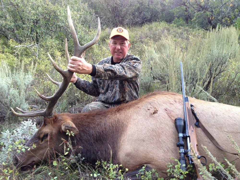 Guided rifle elk hunt