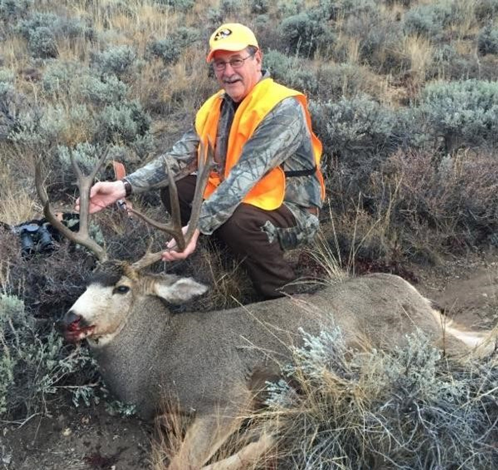 Mule deer buck a little small for the area.