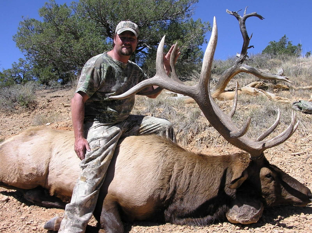 Nice 6x6 trophy elk.
