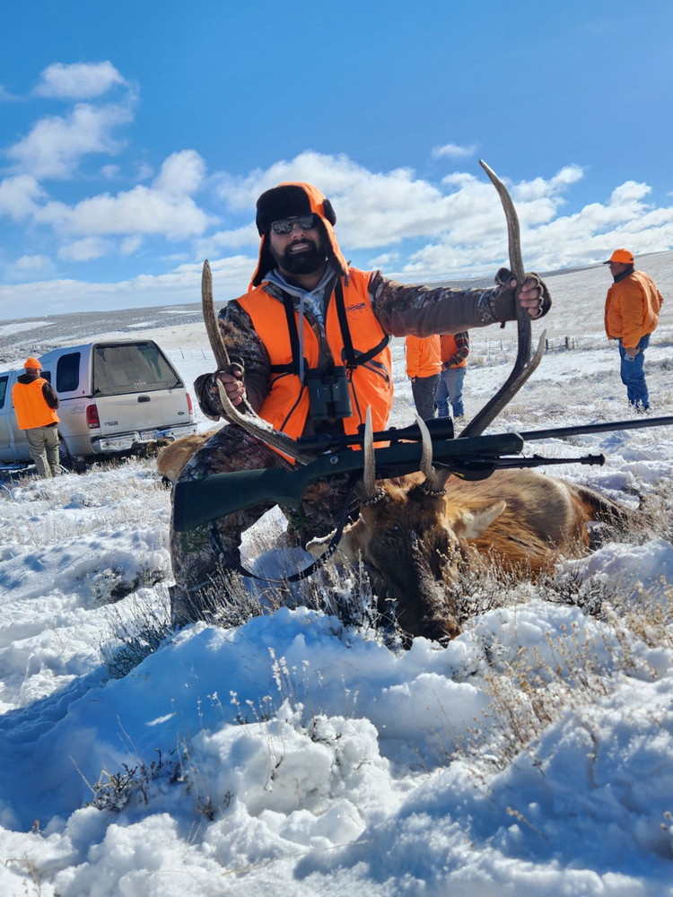 Good CO bull elk.