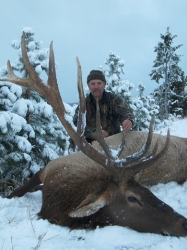 Snow brings out the elk making a successful hunt.