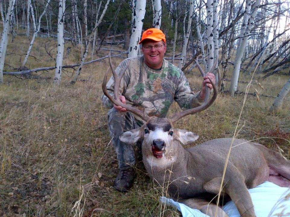 Good mountain mule deer buck.