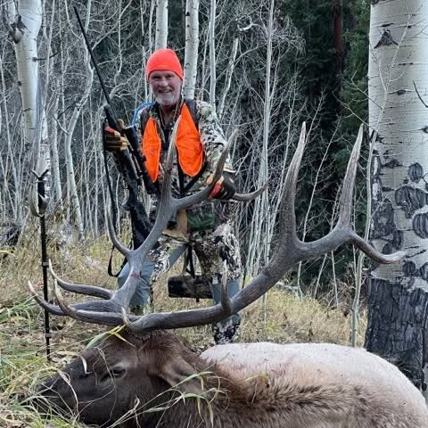 Colorado elk hunts