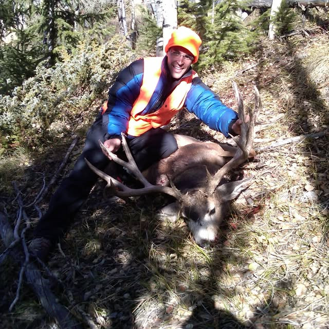 Fully guided or DIY lodging hunts