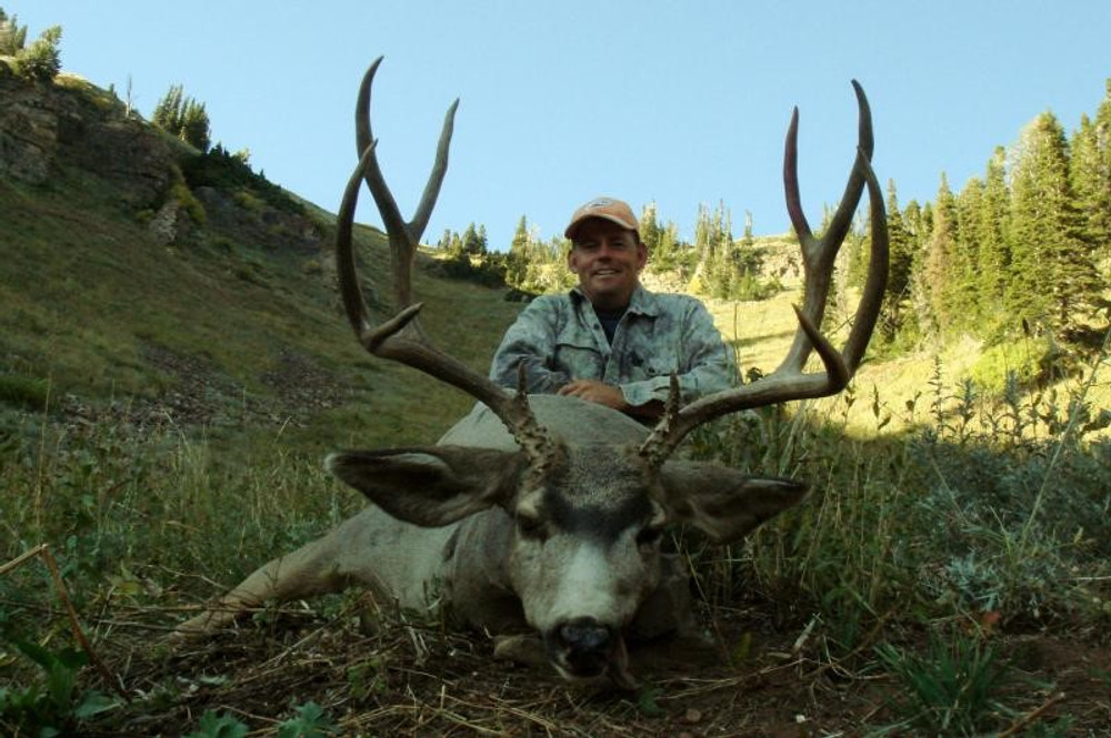 High country guided mule deer with cabin lodging.