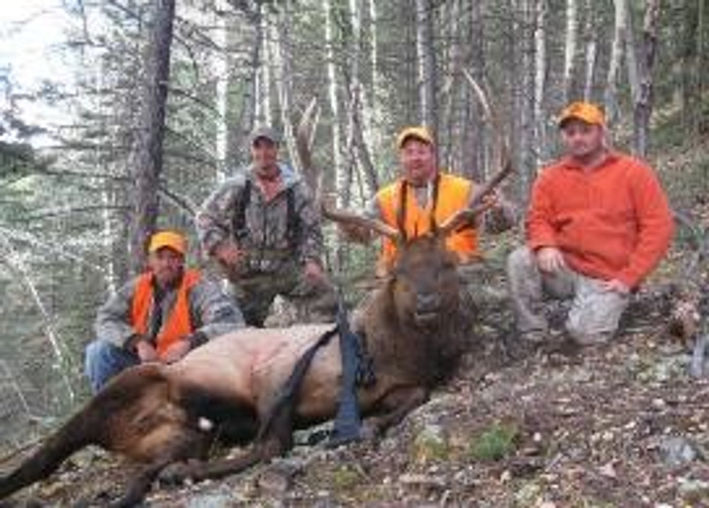 Happy group of hunters with an elk.