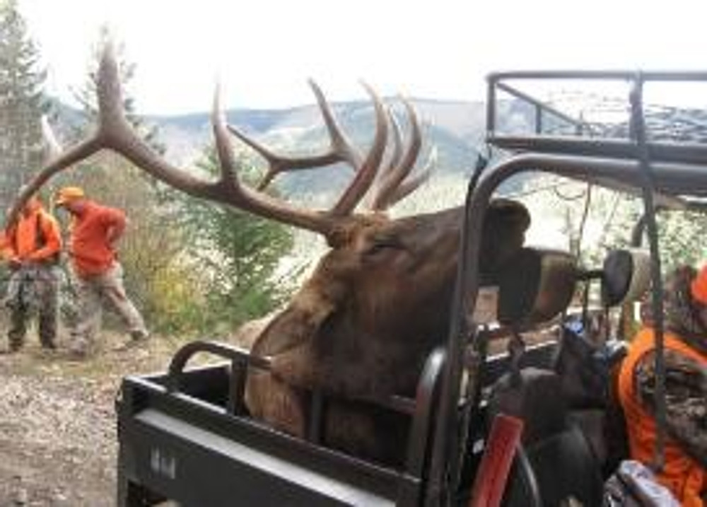 Big 5x5 on ATV drop camp hunt.