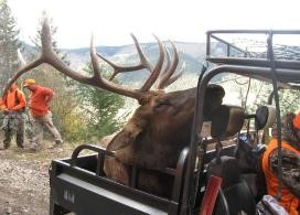 Big 5x5 on ATV drop camp hunt.