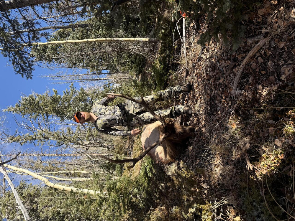 Successful guided elk hunt.