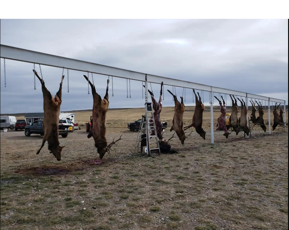 Family hunts for elk and mule deer on private land.