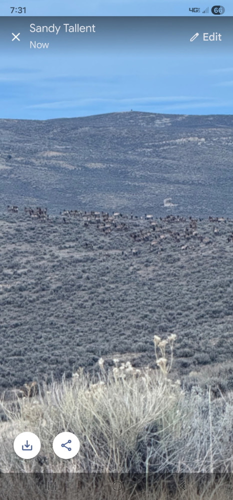Private land elk hunt