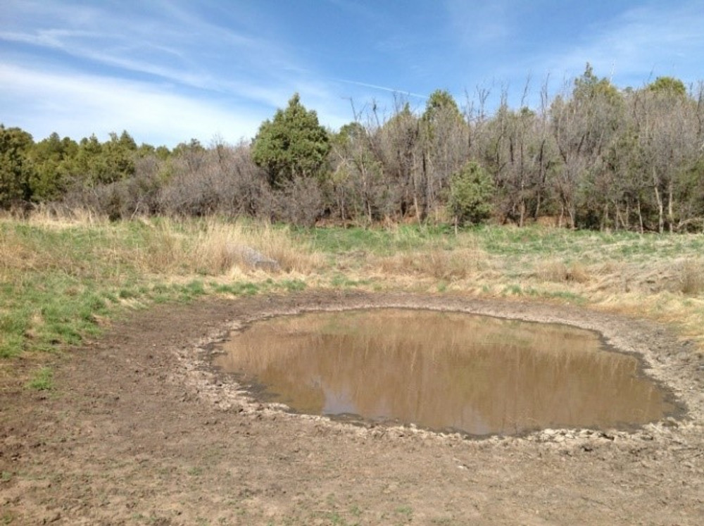 Water hole to sit on hunting deer, elk and black bear.