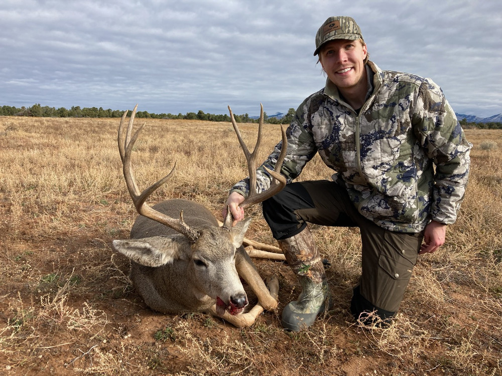 SW CO Mule Deer.