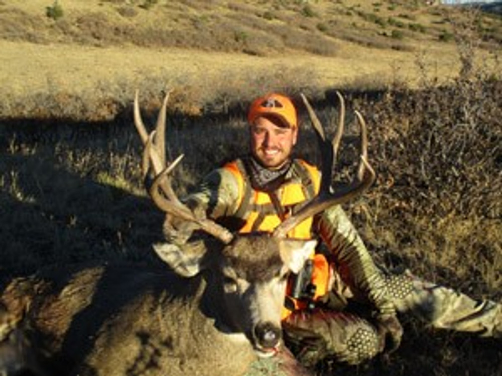 Nice mule deer buck.