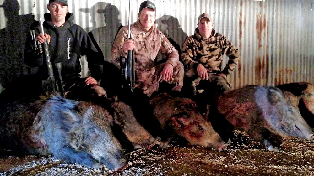 Family hunting together for whitetail and hogs.