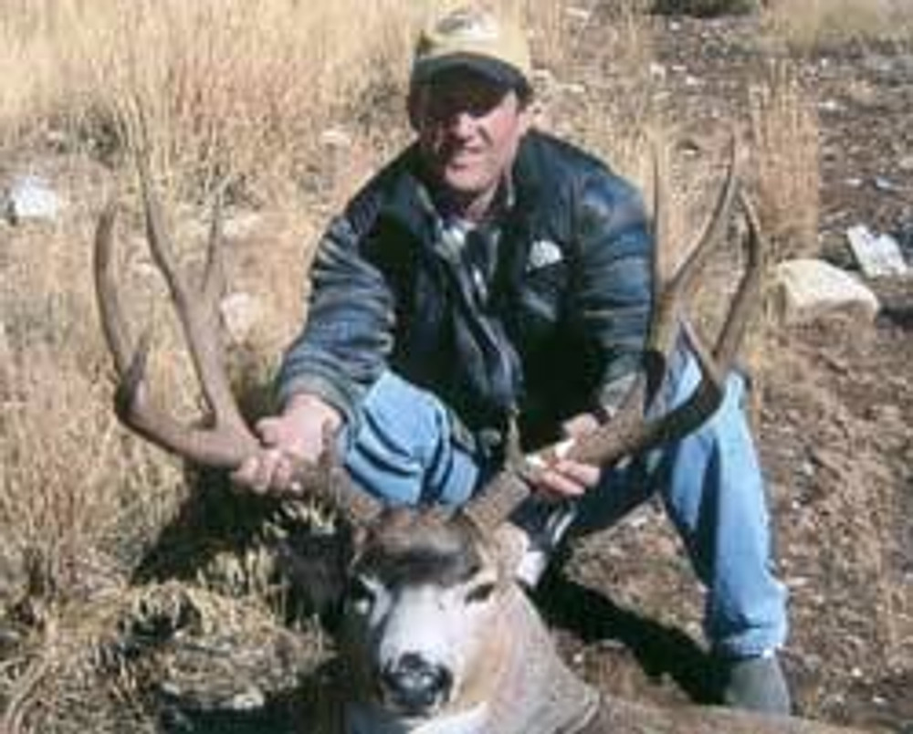 Wyoming trophy buck mule deer.