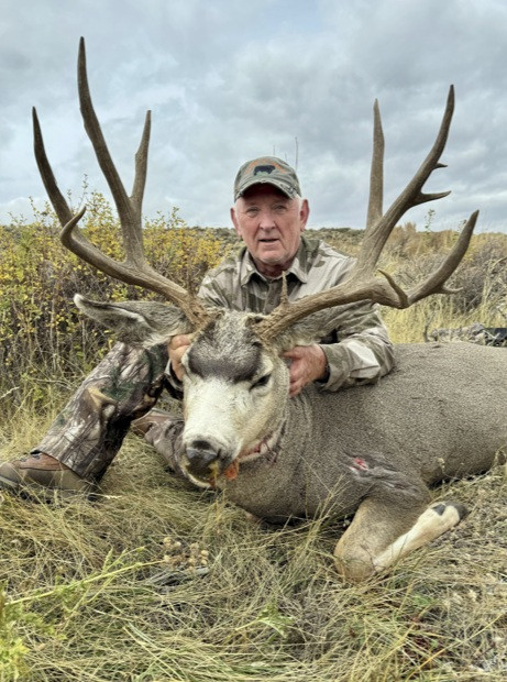 2025 mule deer buck