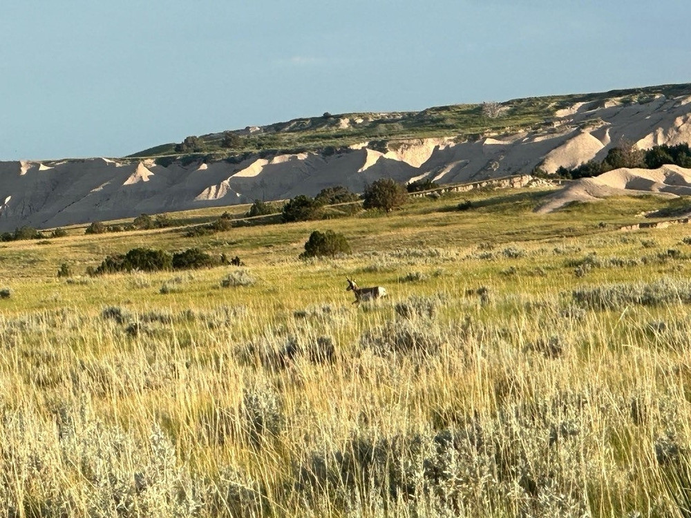 Hunt #6035 Semi-Guided Antelope 3,500 Ac Private