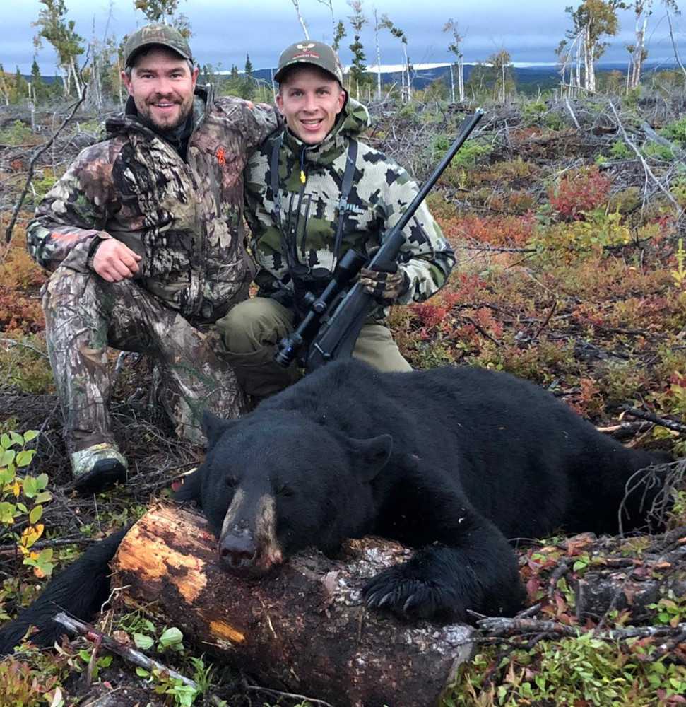 Black bear in Canada.