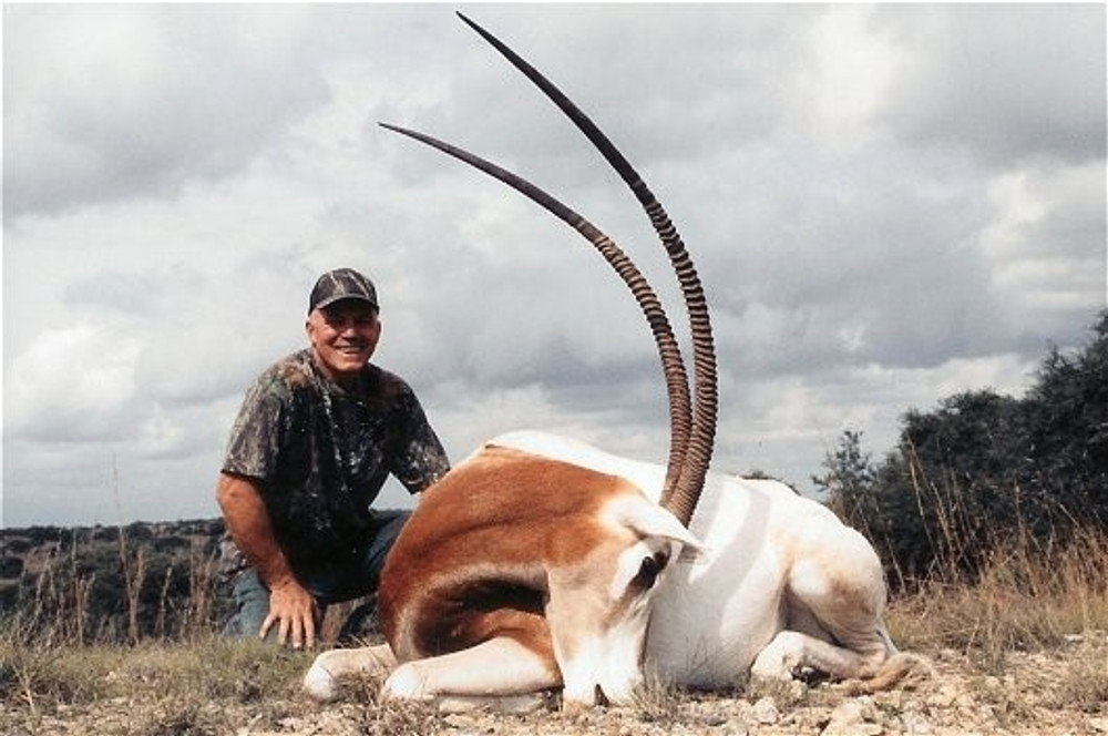 Scimitar Oryx, Gemsbok Oryx and Addax Oryx Hunts