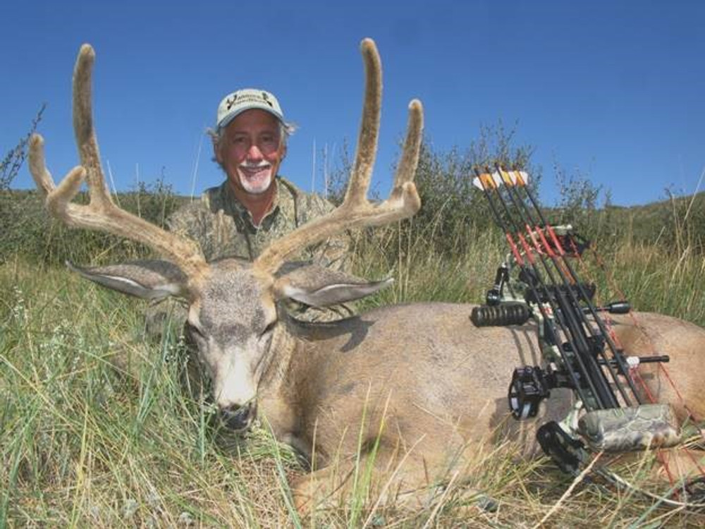 Archery mule deer in Nebraska