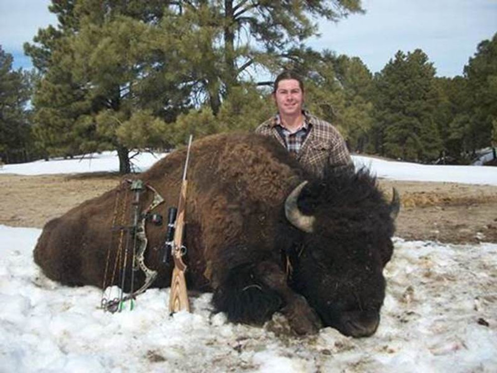 Hunting buffalo in Montana