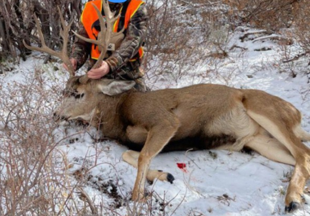 Small buck but good tasting meat.