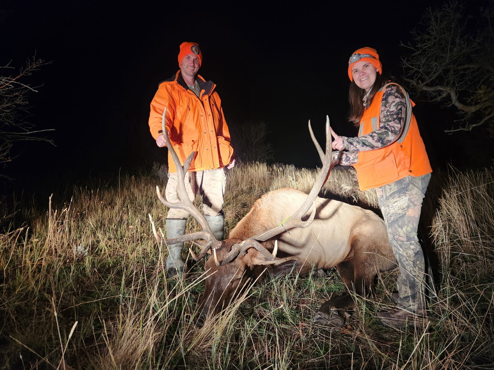 Late day elk success