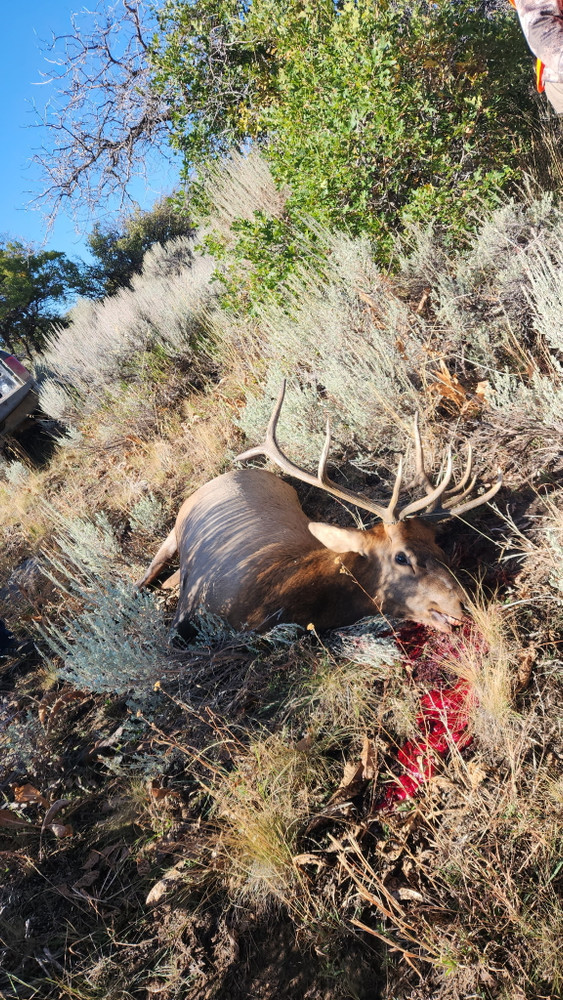 It took a while but we found him.