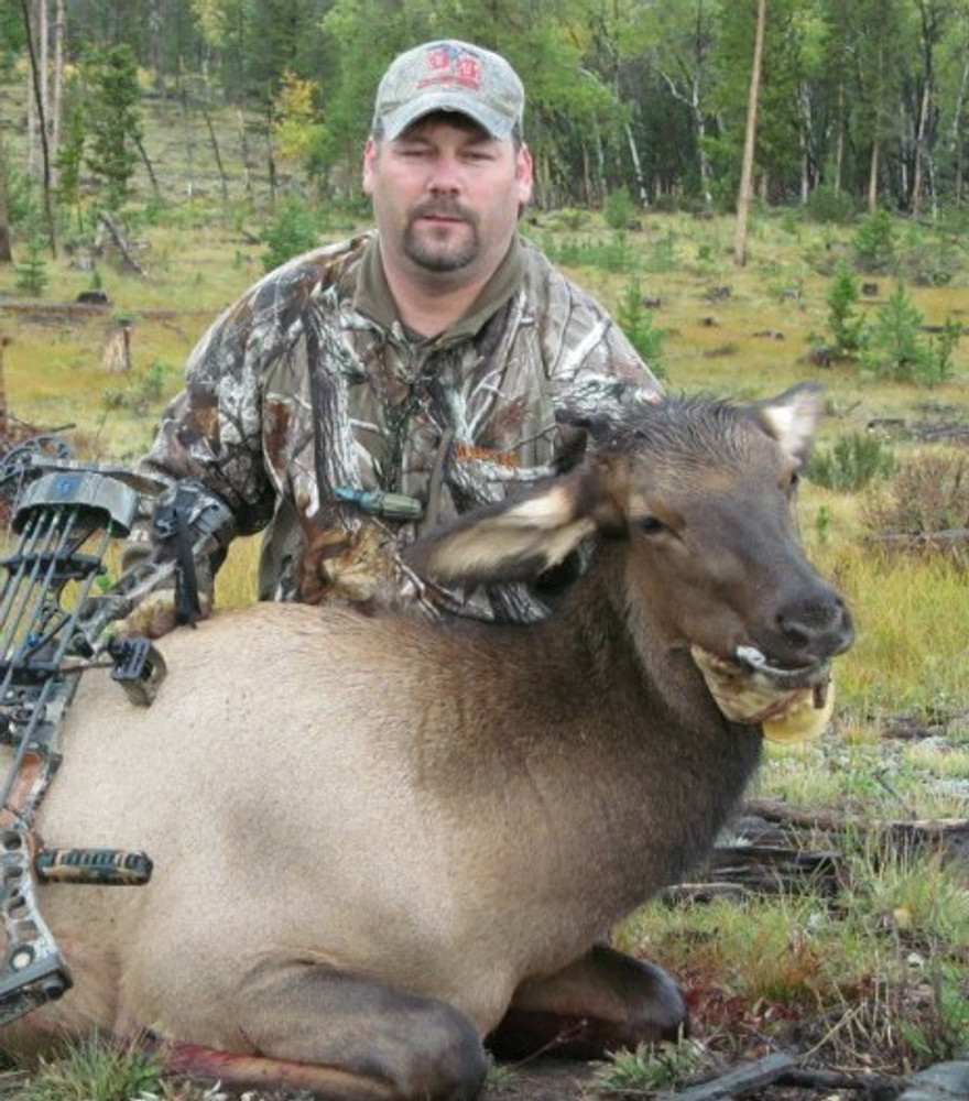 Cow elk hunts are most successful.