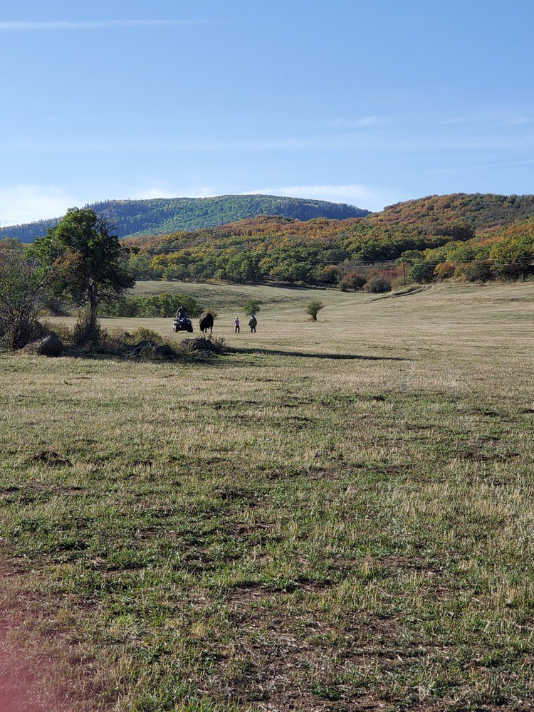 Private land elk and deer hunting.